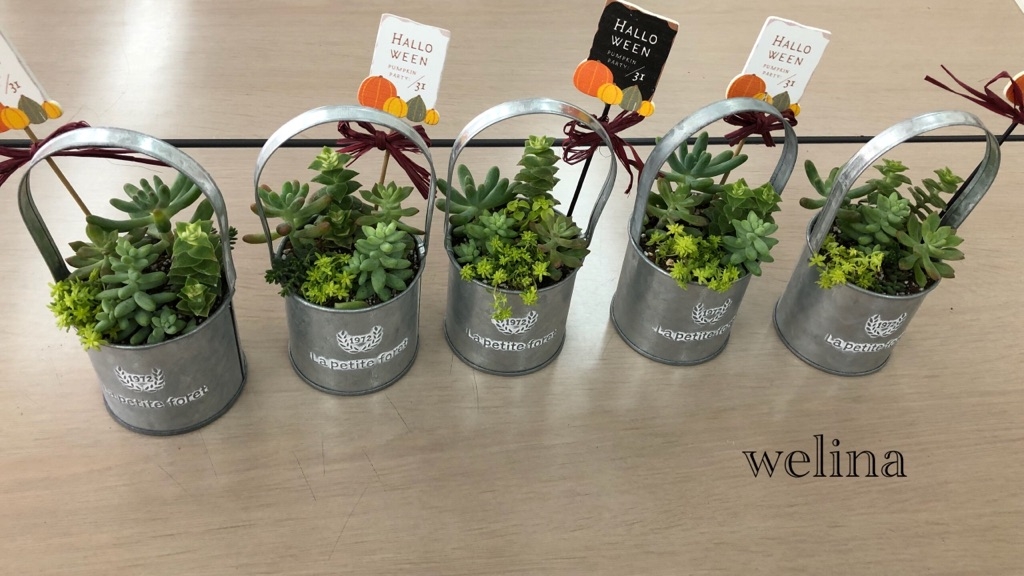 講習会＊ハロウィン多肉植物の寄せ植え♪可愛くできました♡